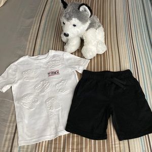 Toddler boys shorts set 365Kids 🦖🦕